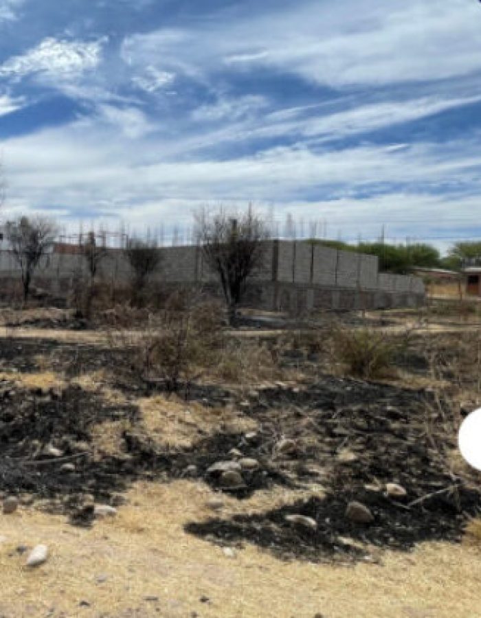 CREATOR: gd-jpeg v1.0 (using IJG JPEG v62), quality = 82