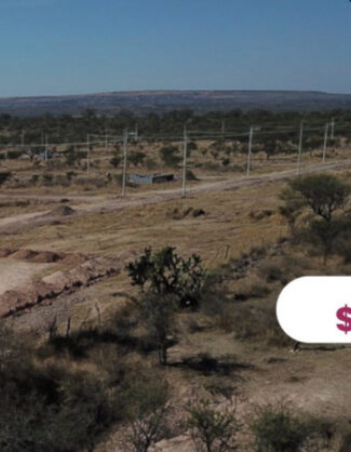 CREATOR: gd-jpeg v1.0 (using IJG JPEG v62), quality = 82